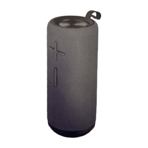 DZIRE BLUETOOTH SPEAKER GRAY PS-B602-1