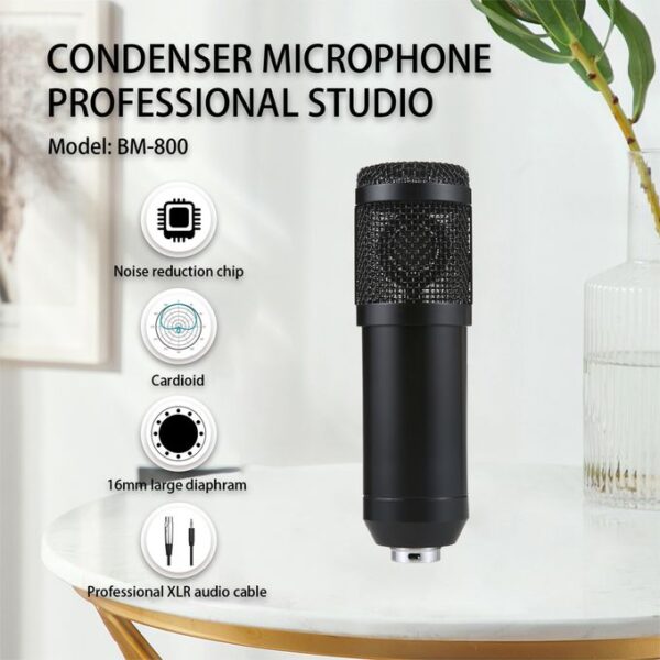 Professional Suspension Microphone Kit For Studio Recording - Image 2