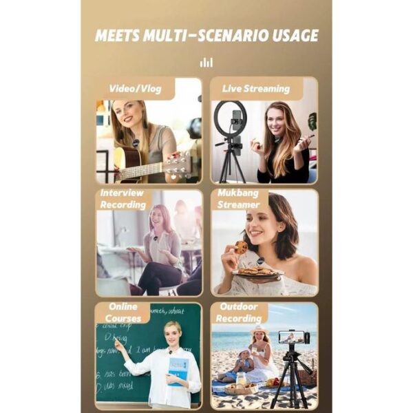 F11-2 Double Wireless Microphone For iPhones, Android and Laptops