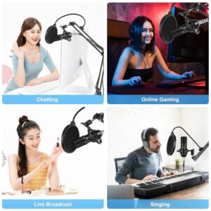 Puluz Studio Broadcast Professional Singing Microphone Kits with Suspension Scissor Arm & Metal Shock Mount & USB Sound Card